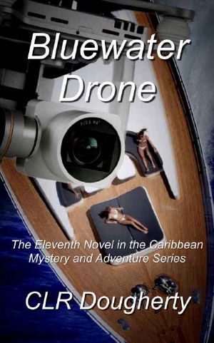 [Bluewater Thrillers 11] • Bluewater Drone